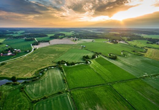 Agricoltura, qualità e tipicità
