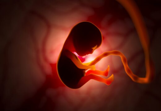 Vita dal concepimento alla morte naturale
