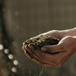 Incontro a Roma con il Sottosegretario all’agricoltura
