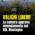 Valichi liberi !